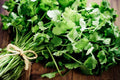 Coriander Seeds for Microgreens - Heirloom Cilantro, Chinese Parsley, Bulk Salad Herbs - Perfect for Indoor Growing