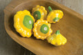 Y-Star Patty Pan Squash Seeds - 10 Count - Heirloom Variety - Cucurbita pepo