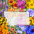 Wildflower Seed Mix 1/4 Pound Montana Western Blend for 800 sq ft Coverage - Ideal for Gardens and Pollinators