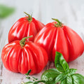 Ruffled Tomato Seeds - 25+ Heirloom Seeds - Exotic Variety for Home Garden - Solanum lycopersicum
