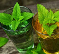 Lemon Balm Seeds 500 Seeds Herbal Plant Melissa officinalis Organic Gardening
