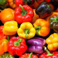 Rainbow Mix Bell Pepper Seeds - Heirloom Red, Green, Orange - Capsicum annuum - Perfect for 2025 Planting