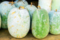 Giant Wax Gourd Seeds - 10 Pack for Planting - Cucurbita maxima - Ships from Iowa, USA