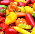 Hot Pepper Seeds Mix - 50+ Varieties - Jalapeno, Habanero, Cayenne, Anaheim, Cherry, Santa Fe - Capsicum annuum