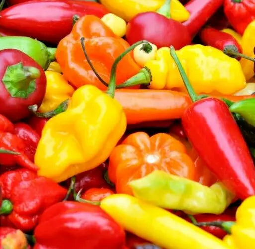 Hot Pepper Seeds Mix - 50+ Varieties - Jalapeno, Habanero, Cayenne, Anaheim, Cherry, Santa Fe - Capsicum annuum