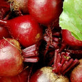 Dark Red Detroit Beet Seeds | NON-GMO Heirloom Garden Seeds | Vegetable Seeds for Planting, Beta vulgaris