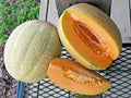 Jumbo Cantaloupe Seeds - Heirloom Melon Fruit for Summer Garden - 41+ HALES Variety - Cucumis melo