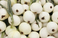 Onion Seeds 200+ White Spanish Sweet Mild NON-GMO Vegetable Garden Seeds Allium cepa