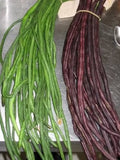 Yard Long Bean Seeds - 15+ Green/Red Asian Chinese Noodle Beans - Vigna unguiculata subsp. sesquipedalis