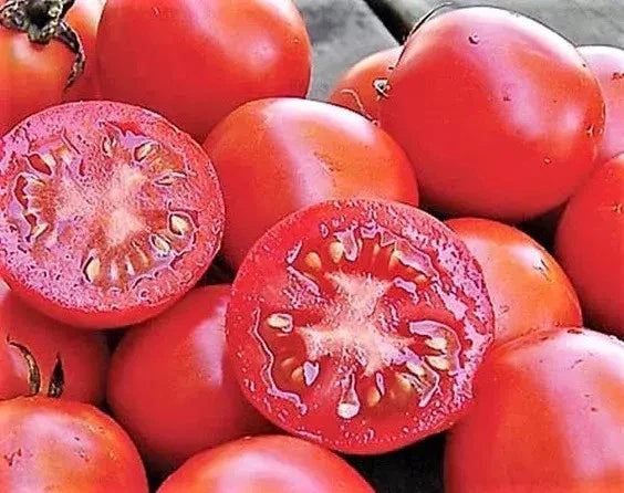 Siberian Tomato Seeds - 10+ Heirloom Organic Non-GMO Seeds - Fresh Garden Variety - Lycopersicon esculentum