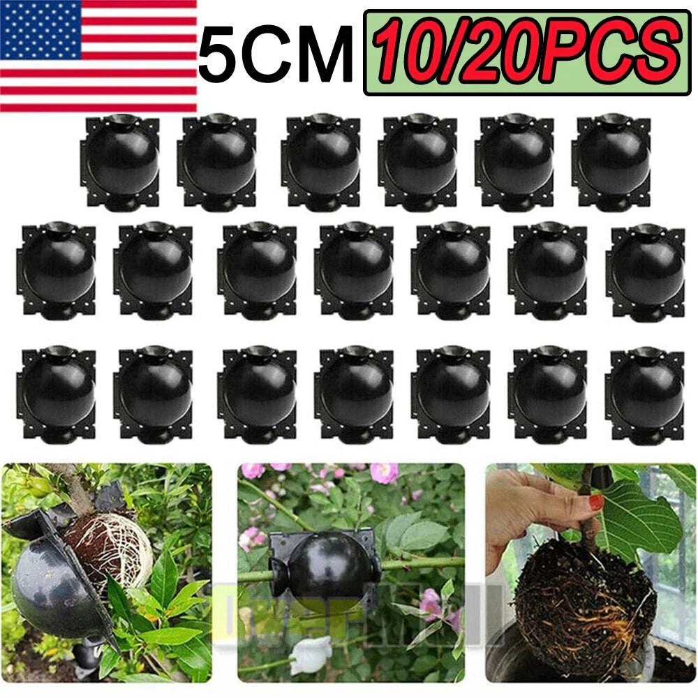 Plant Rooting Devices 10/20X High Pressure Grafting Box Propagation Ball for Indoor Gardening - Hydroponics