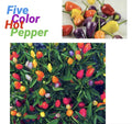 Five Color Chili Pepper Seeds - 25 Rainbow Chili Seeds - Capsicum Annuum - Free Green Eggplant Seeds