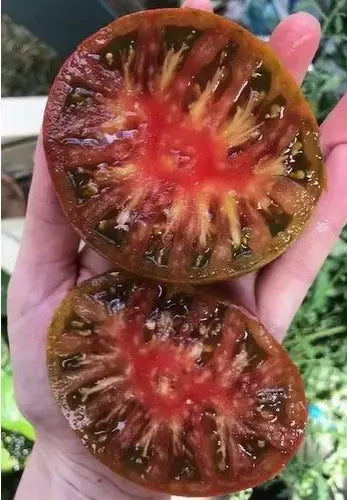 Black Brandywine Tomato Seeds - 120+ Heirloom Organic NON-GMO - Solanum lycopersicum