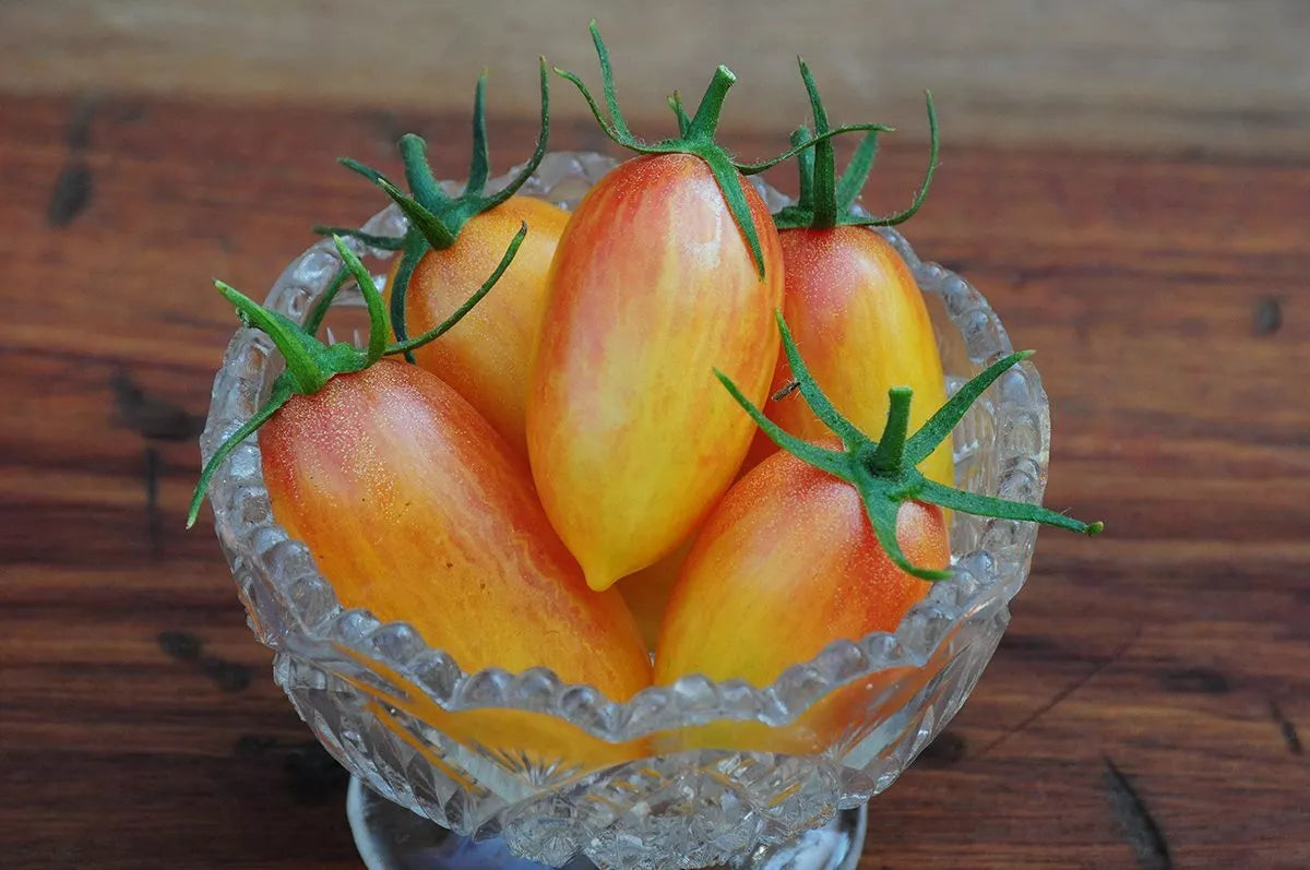 Blush Tomato Seeds, 15 Seeds, Julienne Cherry Saladette, NON-GMO, Solanum lycopersicum