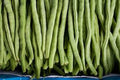 Bean Seeds Mix Collection - Top 5 Heirloom Varieties - Garden Seed Set for Home Growing - Non-GMO Seeds