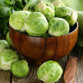 Long Island Improved Brussels Sprouts Seeds - 1000 Non-GMO Heirloom Seeds - Brassica oleracea