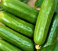 Cucumber Seeds 50 Count Non-GMO Ashley Long Variety Cucumis sativus