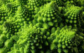 Romanesco Broccoli Seeds 300+ Exotic Vegetable Seeds Brassica oleracea Italica