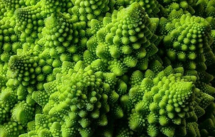 Romanesco Broccoli Seeds 300+ Exotic Vegetable Seeds Brassica oleracea Italica
