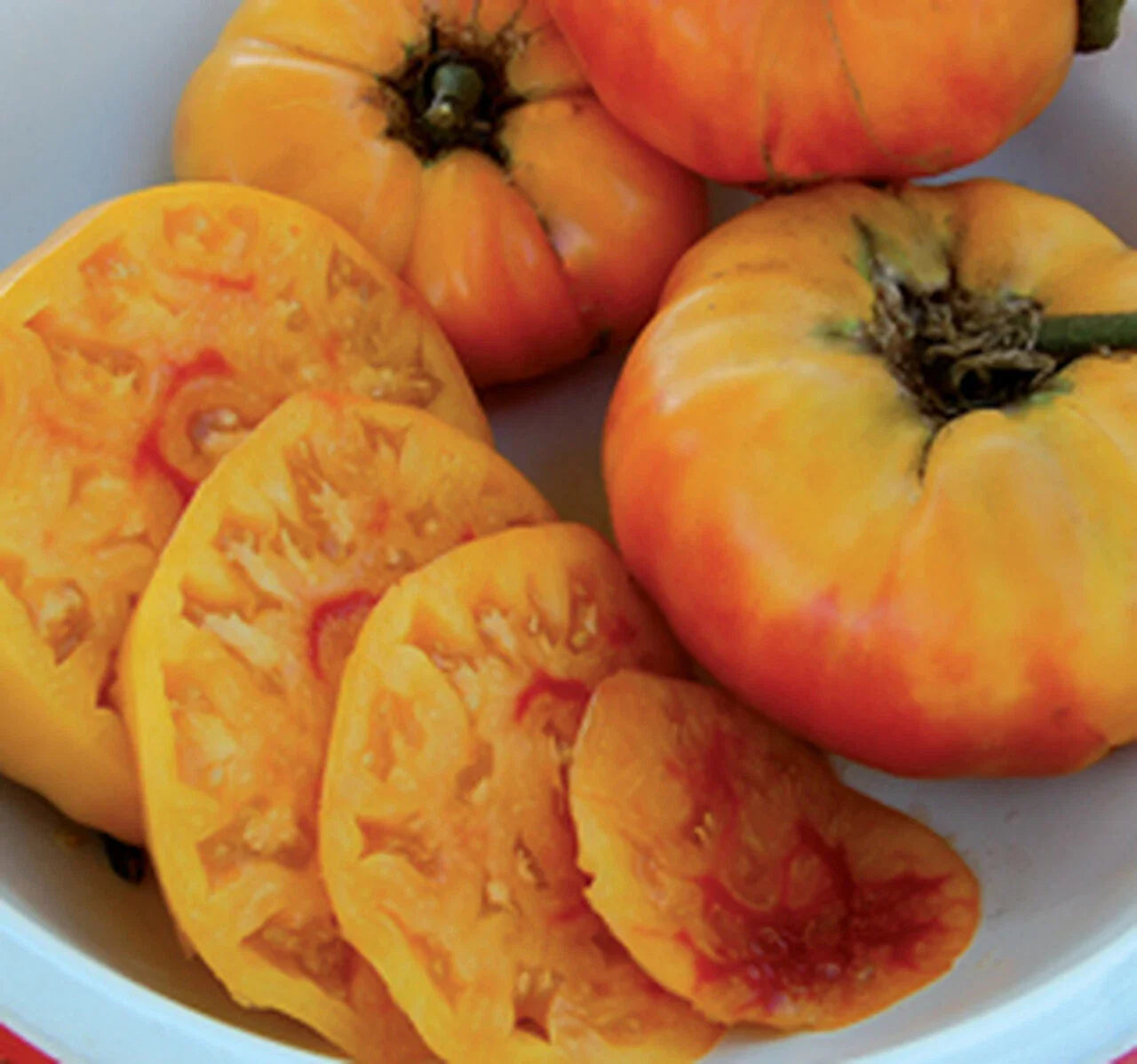 Gold Medal Tomato Seeds, 15 Seeds, Non-GMO, Heirloom Variety, Solanum lycopersicum