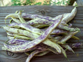 Dragon's Tongue Beans - 10 Heirloom Seeds, Wax Bush Variety, Large Cream Purple Pods, Non-GMO (Phaseolus vulgaris)