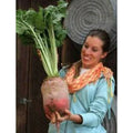 Mammoth Mangel Beet Seeds - 50 Count - Grow Giant Beets - Beta vulgaris subsp. vulgaris