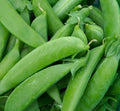 Sugar Snap Pea Seeds - Fresh Non-GMO Organic Pea Seeds - Pisum sativum