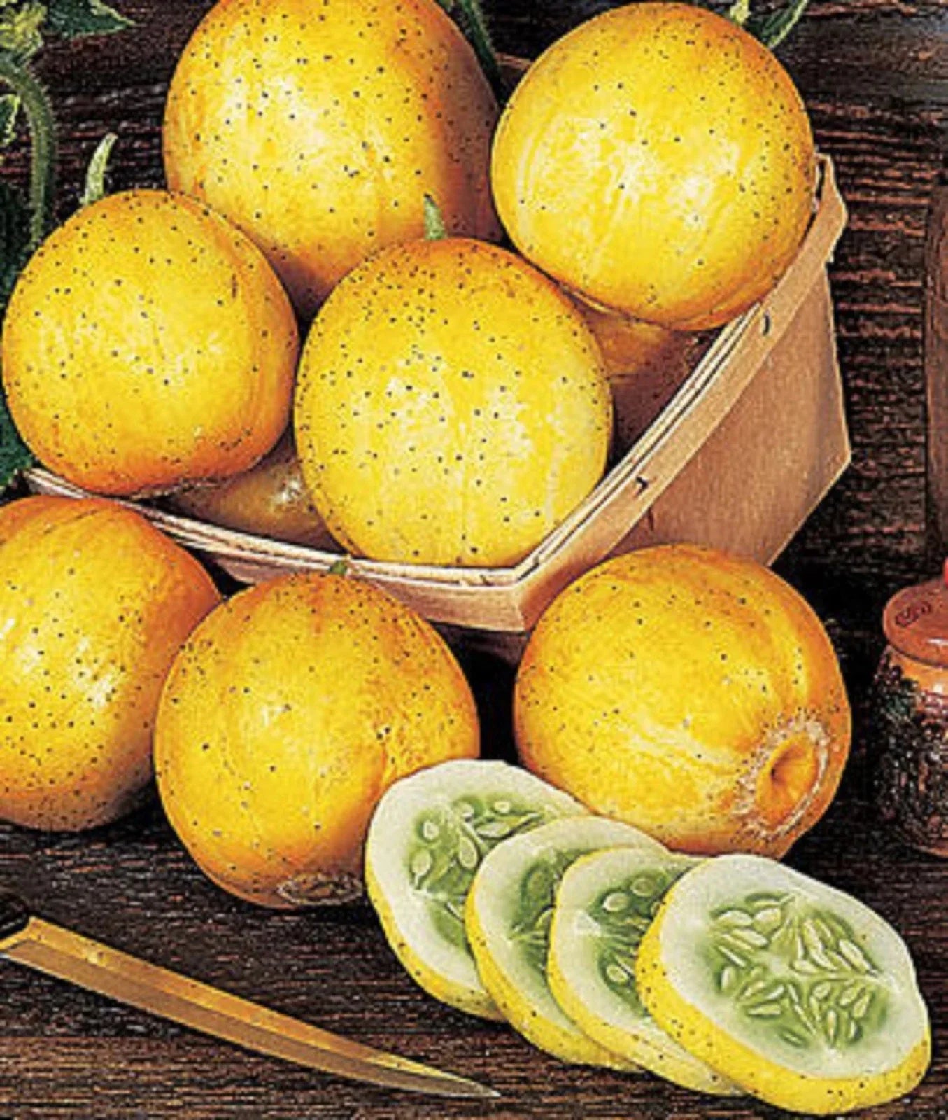 Lemon Cucumber Seeds - 50+ Heirloom Non-GMO RARE Variety - Cucumis sativus