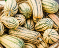 Delicata Squash Seeds 20 Ct - Winter Vegetable Garden Variety - Sweet Potato Squash (Cucurbita pepo)