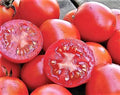 Siberian Tomato Seeds - 30+ Heirloom Organic Non-GMO - Fresh Seed Pack