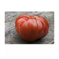 German Johnson Giant Tomato Seeds | 100+ Non-GMO Heirloom Seeds | Fresh, Organic Variety | Lycopersicon esculentum
