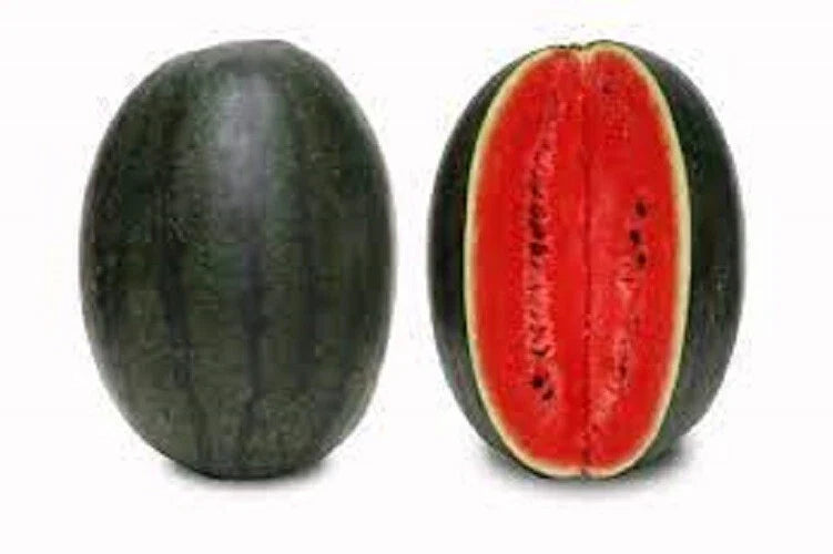 Premium Black Diamond Watermelon Seeds - Heirloom Variety for Delicious Home Gardening - Citrullus lanatus