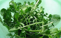Cress Seeds 1000+ Upland Cress, Garden Cress, American Cress, Creasy Green, Lepidium sativum (USA)