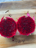 Dragon Fruit Cutting 6+ inches VENUS Pitaya Organic - Hylocereus undatus