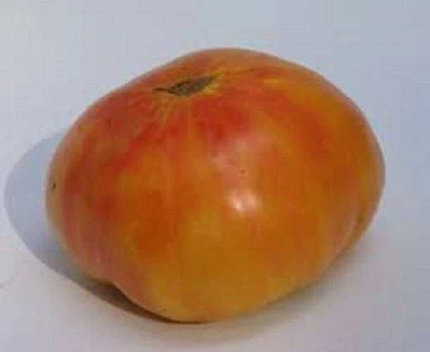 Old German Tomato Seeds - 25 Fresh Seeds - Heirloom Variety, Delicious Flavor - Solanum lycopersicum