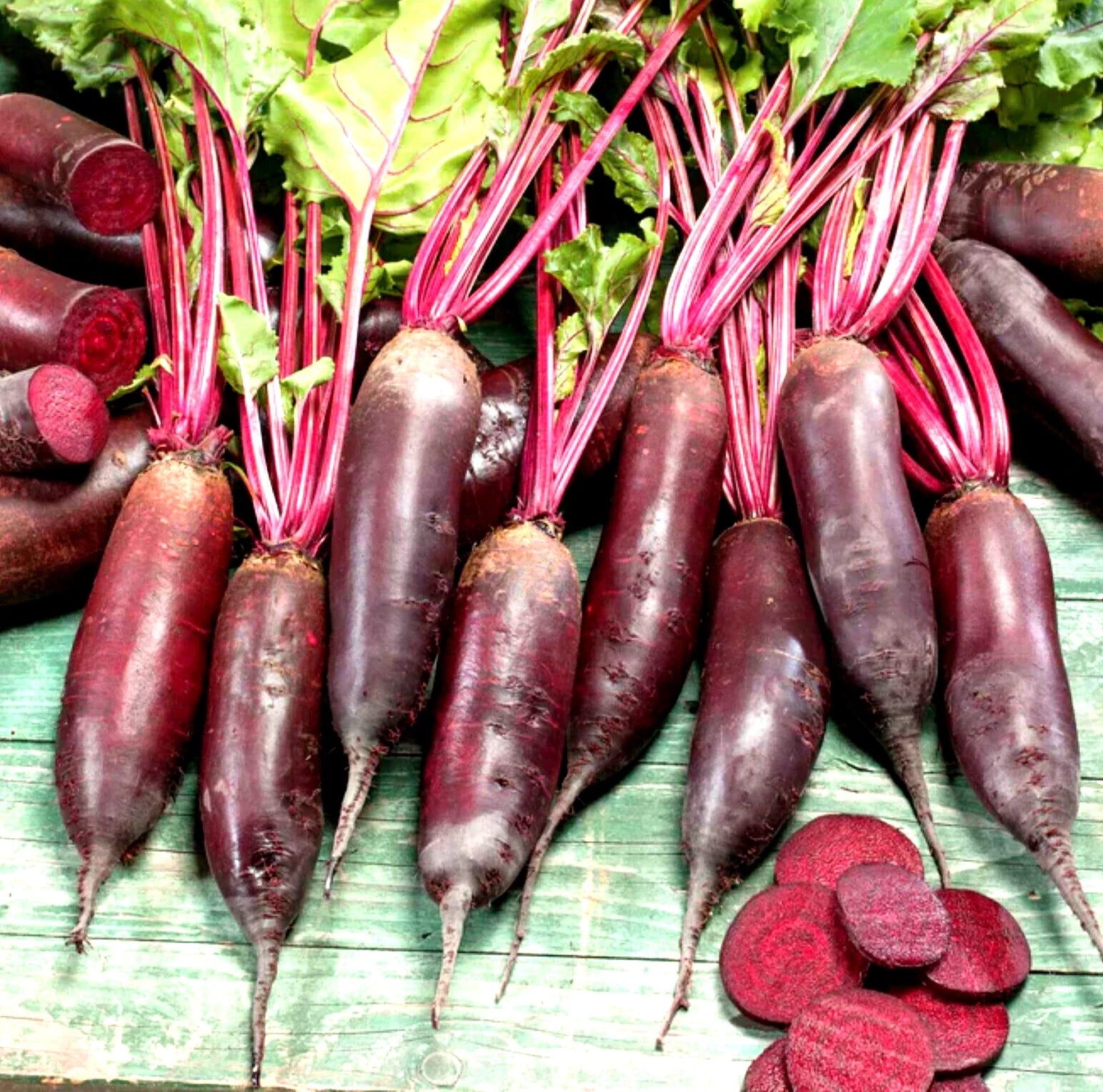 Cylindra Beet Seeds 100+ Non-GMO Heirloom Seeds for Planting (Beta vulgaris)