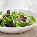 Gourmet Mixed Lettuce Seeds | Non-GMO Bulk | Fresh Garden Seeds USA | Heirloom Varieties