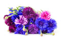 Polka Dot Bachelor Button Seeds - 1,000 Heirloom Non-GMO Seeds for Planting - Centaurea cyanus