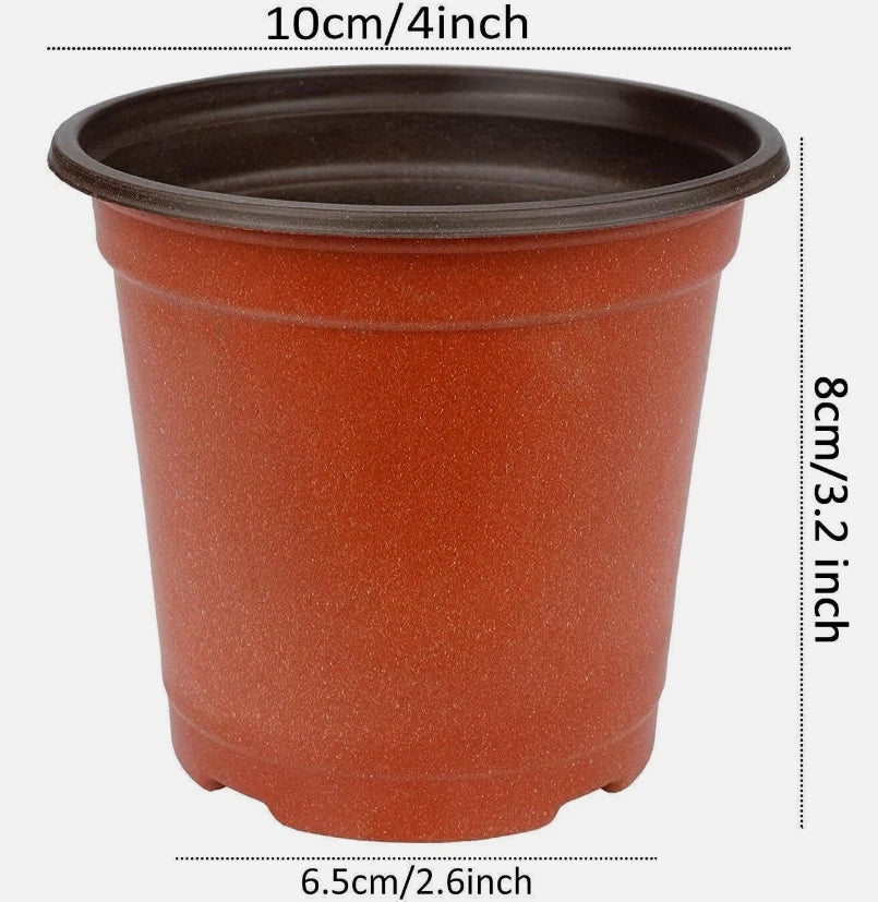 75 Pcs Plant Nursery Pots for Succulent Seedlings and Cuttings - Transplanting Containers for Gardening