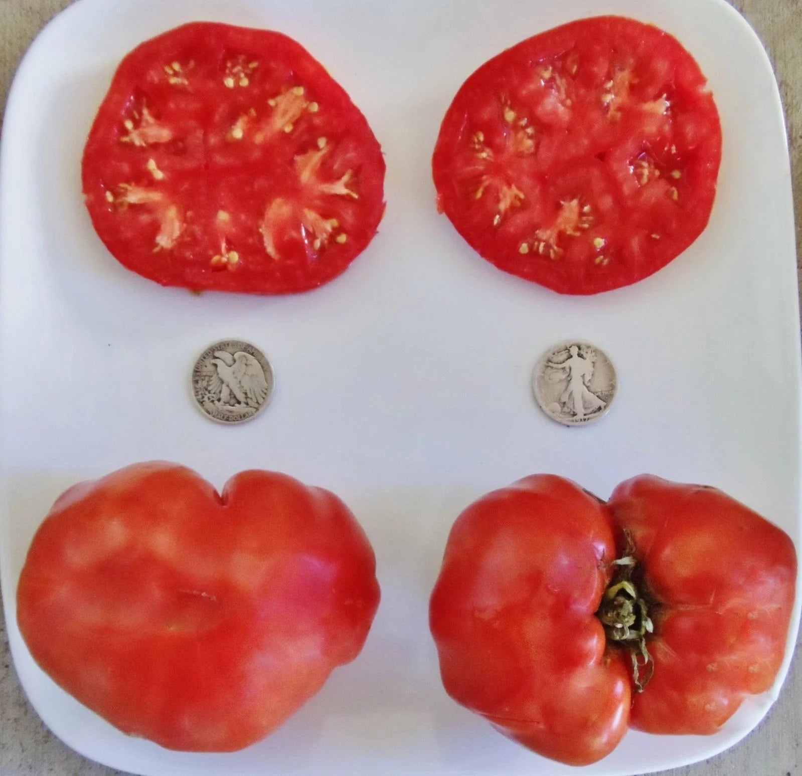 Ponderosa Red Beefsteak Tomato Seeds - 25 Pack - Heirloom Variety, Rich Flavor, Perfect for Gardening - Solanum lycopersicum