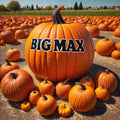 15 Big Max Pumpkin Seeds | Giant Heirloom Variety | Non-GMO | Prize-Winning | Perfect for Gardens