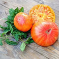 Big Rainbow Tomato Seeds - 30+ Heirloom Organic Non-GMO - Rare Variety for Home Gardening