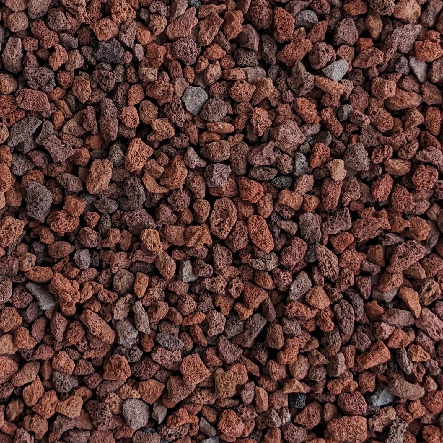 Red Lava Rocks for Plants - Natural Horticultural Volcanic Rock, 1/4" Size, Ideal for Drainage and Soil Aeration