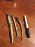 Victoria Rhubarb Plant Crown - 3 Year Old Perennial - Edible Rhubarb - Rheum rhabarbarum - Bareroot, USDA Zones 3-8