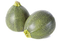 Eight Ball Zucchini Squash Seeds - 25+ Pack - Heirloom Garden Seeds - Cucurbita pepo - Free Shipping USA