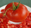 Tomato Seeds 15 Count Packet Delicious Giant Slicer Meaty Variety Solanum lycopersicum