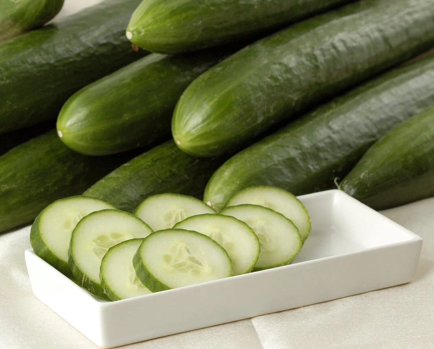 Ashley Long Cucumber Seeds - 25+ Heirloom, Non-GMO, Organic - Cucumis sativus
