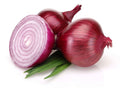 Bermuda Onion Seeds 500+ Pack - Heirloom Garden Planting - Allium cepa - USA