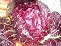 Radicchio Seeds - Palla Rosa - Non-GMO Heirloom Variety - Cichorium intybus - Tracking Included