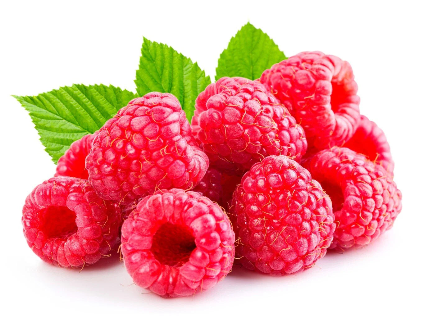 Raspberry Plants Bare Root Canes 5-Pack ‘Heritage,’ Large Sweet Berries, Rubus idaeus